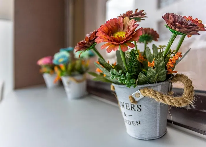 Paseo Antzieta 31. 1e アパート サン・セバスティアン