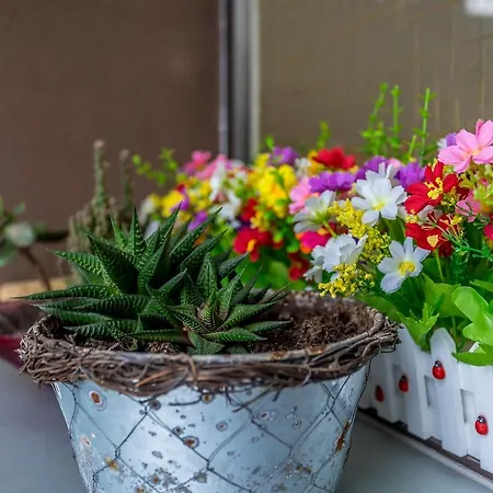 Paseo Antzieta 31. 1e * سان سيباستيان