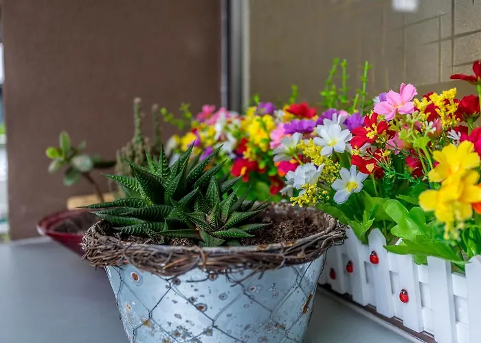 Paseo Antzieta 31. 1e * Saint-Sébastien